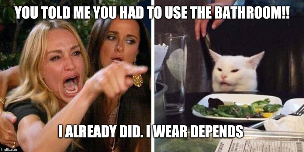 Smudge the cat | YOU TOLD ME YOU HAD TO USE THE BATHROOM!! I ALREADY DID. I WEAR DEPENDS | image tagged in smudge the cat | made w/ Imgflip meme maker