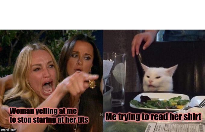 Woman Yelling At Cat | Woman yelling at me to stop staring at her tits; Me trying to read her shirt | image tagged in memes,woman yelling at cat | made w/ Imgflip meme maker
