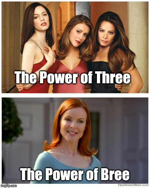 The Power of Bree | The Power of Three; The Power of Bree | image tagged in charmed,memes | made w/ Imgflip meme maker