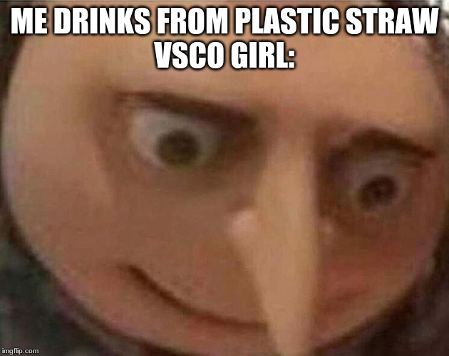 gru meme | ME DRINKS FROM PLASTIC STRAW
VSCO GIRL: | image tagged in gru meme | made w/ Imgflip meme maker