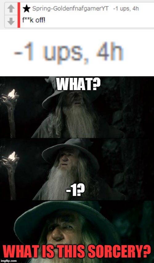 Please do not attack this user, I only made this for meme purposes. | WHAT? -1? WHAT IS THIS SORCERY? | image tagged in memes,confused gandalf,screenshot,upvotes | made w/ Imgflip meme maker