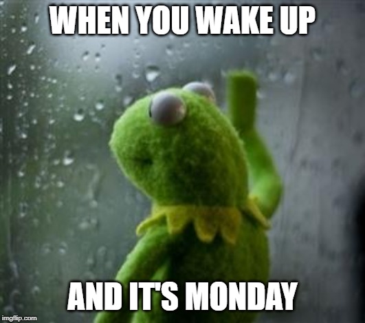 sad kermit at window | WHEN YOU WAKE UP; AND IT'S MONDAY | image tagged in sad kermit at window | made w/ Imgflip meme maker