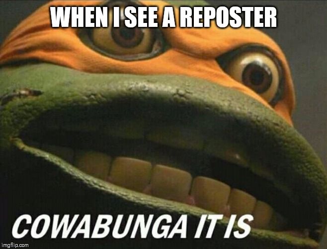 Cowabunga it is | WHEN I SEE A REPOSTER | image tagged in cowabunga it is | made w/ Imgflip meme maker