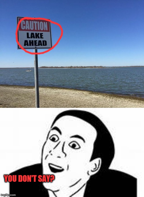 YOU DON'T SAY? | image tagged in ya dont say,the lake | made w/ Imgflip meme maker