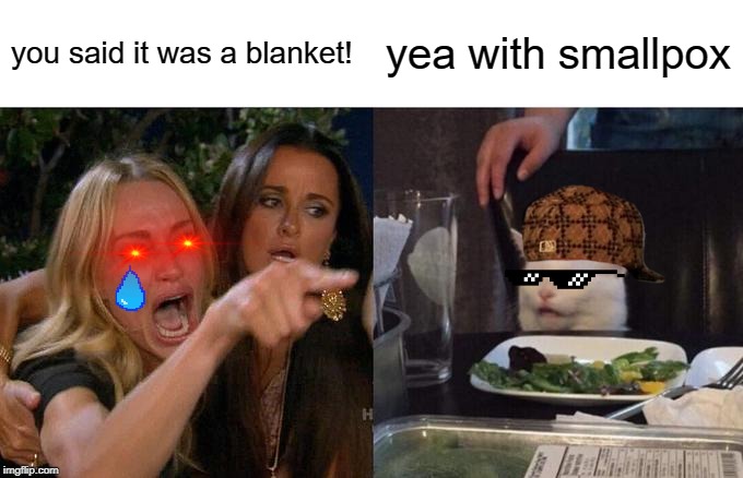 Woman Yelling At Cat | you said it was a blanket! yea with smallpox | image tagged in memes,woman yelling at cat | made w/ Imgflip meme maker