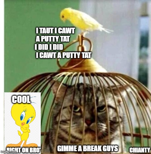 Putty Tat | I TAUT I CAWT
 A PUTTY TAT  
I DID I DID
 I CAWT A PUTTY TAT; COOL; CHIANTY; GIMME A BREAK GUYS; RIGHT ON BRO' | image tagged in cool | made w/ Imgflip meme maker