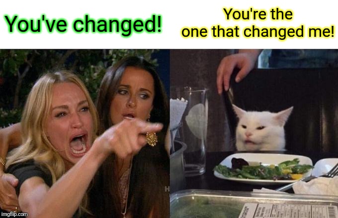 Woman Yelling At Cat Meme | You're the one that changed me! You've changed! | image tagged in memes,woman yelling at cat | made w/ Imgflip meme maker