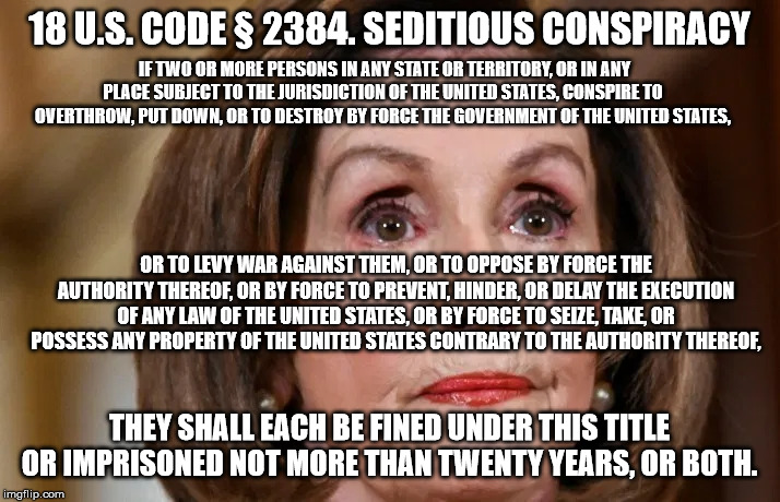 Bad Girl No Senate Seat | 18 U.S. CODE § 2384. SEDITIOUS CONSPIRACY; IF TWO OR MORE PERSONS IN ANY STATE OR TERRITORY, OR IN ANY PLACE SUBJECT TO THE JURISDICTION OF THE UNITED STATES, CONSPIRE TO OVERTHROW, PUT DOWN, OR TO DESTROY BY FORCE THE GOVERNMENT OF THE UNITED STATES, OR TO LEVY WAR AGAINST THEM, OR TO OPPOSE BY FORCE THE AUTHORITY THEREOF, OR BY FORCE TO PREVENT, HINDER, OR DELAY THE EXECUTION OF ANY LAW OF THE UNITED STATES, OR BY FORCE TO SEIZE, TAKE, OR POSSESS ANY PROPERTY OF THE UNITED STATES CONTRARY TO THE AUTHORITY THEREOF, THEY SHALL EACH BE FINED UNDER THIS TITLE OR IMPRISONED NOT MORE THAN TWENTY YEARS, OR BOTH. | image tagged in nancy pelosi | made w/ Imgflip meme maker