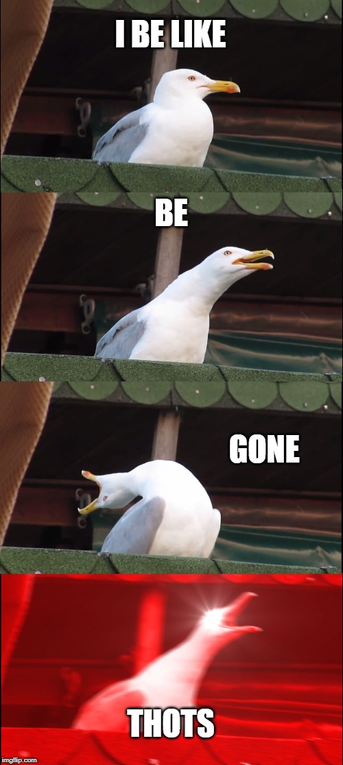 Inhaling Seagull Meme | I BE LIKE; BE; GONE; THOTS | image tagged in memes,inhaling seagull | made w/ Imgflip meme maker