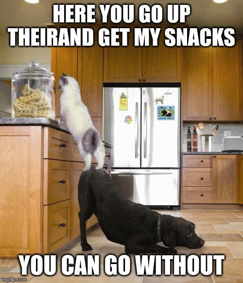 Cat and Dog Treats | HERE YOU GO UP THEIRAND GET MY SNACKS; YOU CAN GO WITHOUT | image tagged in cat and dog treats | made w/ Imgflip meme maker