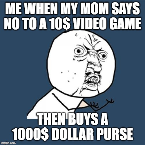 life | ME WHEN MY MOM SAYS NO TO A 10$ VIDEO GAME; THEN BUYS A 1000$ DOLLAR PURSE | image tagged in memes,y u no,mom,video games | made w/ Imgflip meme maker