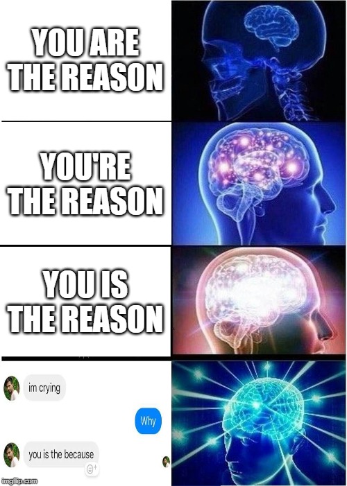 You are the because | YOU ARE THE REASON; YOU'RE THE REASON; YOU IS THE REASON | image tagged in memes,expanding brain | made w/ Imgflip meme maker