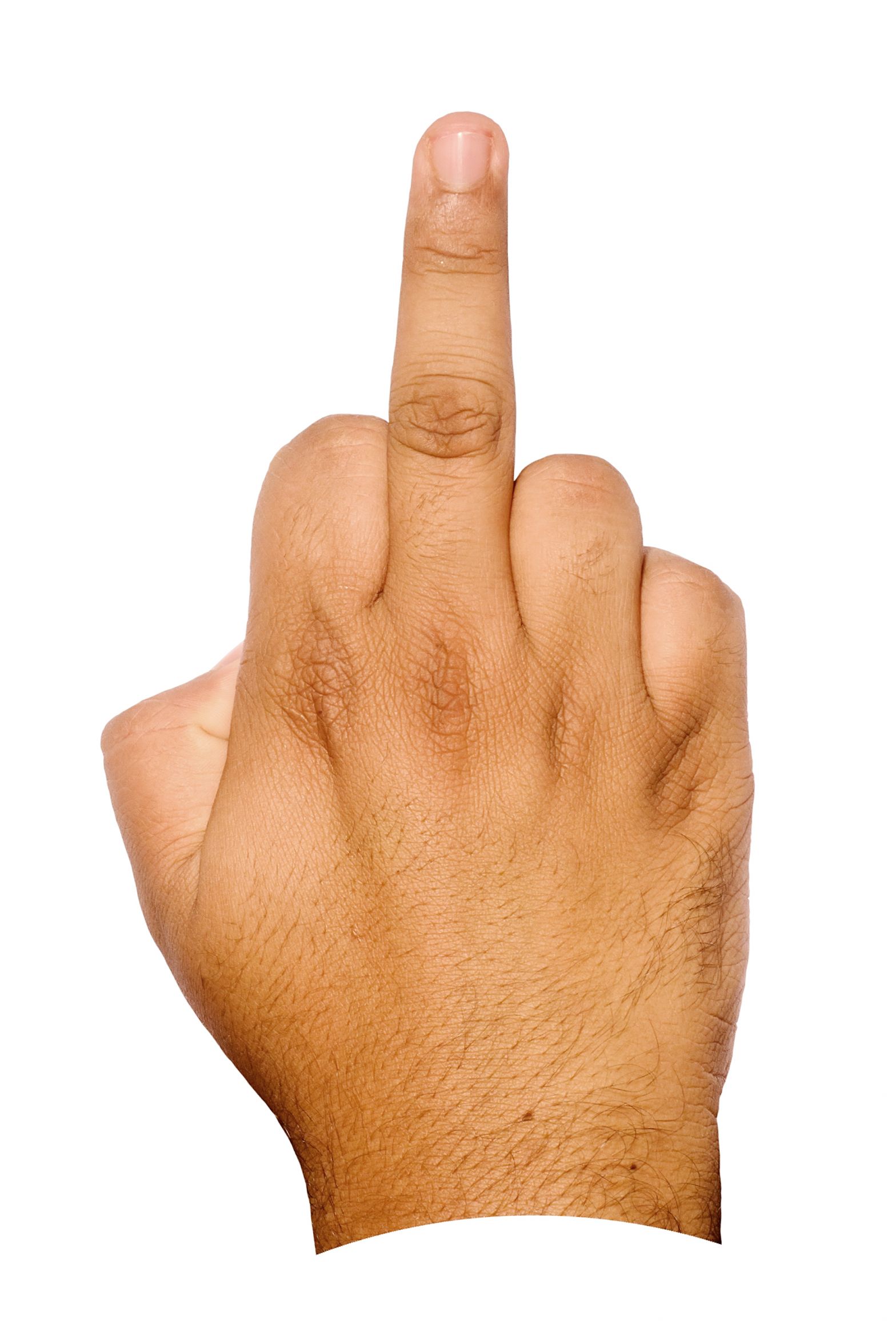 High Quality middle finger Blank Meme Template