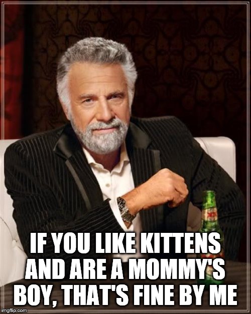 The Most Interesting Man In The World Meme | IF YOU LIKE KITTENS AND ARE A MOMMY'S BOY, THAT'S FINE BY ME | image tagged in memes,the most interesting man in the world | made w/ Imgflip meme maker