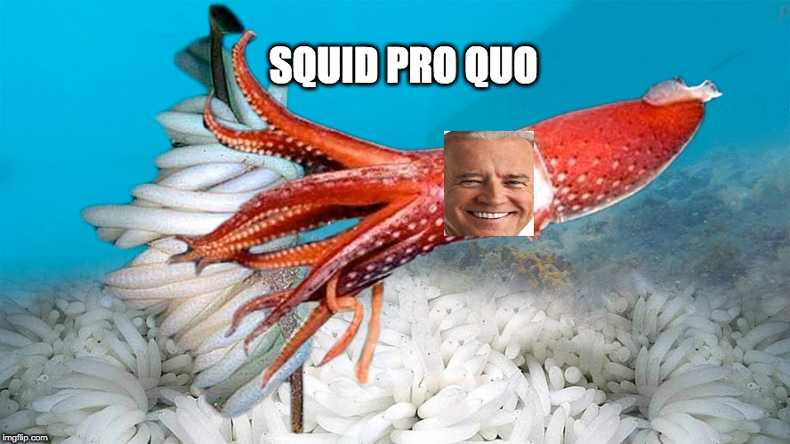 SQUID PRO QUO | image tagged in biden,squid,pro quo | made w/ Imgflip meme maker