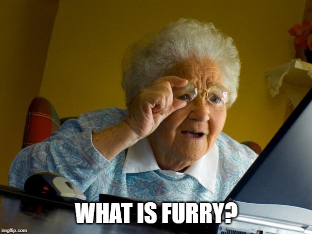 Old lady at computer finds the Internet | WHAT IS FURRY? | image tagged in old lady at computer finds the internet | made w/ Imgflip meme maker