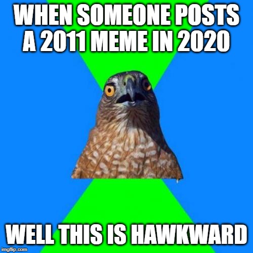Hawkward |  WHEN SOMEONE POSTS A 2011 MEME IN 2020; WELL THIS IS HAWKWARD | image tagged in memes,hawkward | made w/ Imgflip meme maker