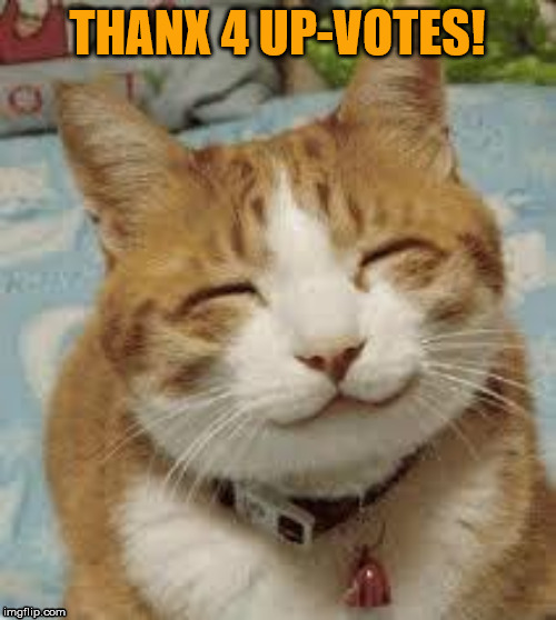 LOUD_VOICE | THANX 4 UP-VOTES! | image tagged in loud_voice | made w/ Imgflip meme maker