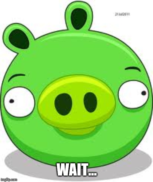 Angry Birds Pig Meme | WAIT... | image tagged in memes,angry birds pig | made w/ Imgflip meme maker