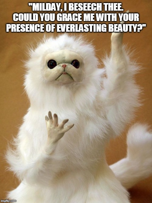 Persian Cat Guardian 2 | "MILDAY, I BESEECH THEE. COULD YOU GRACE ME WITH YOUR PRESENCE OF EVERLASTING BEAUTY?" | image tagged in persian cat guardian 2 | made w/ Imgflip meme maker