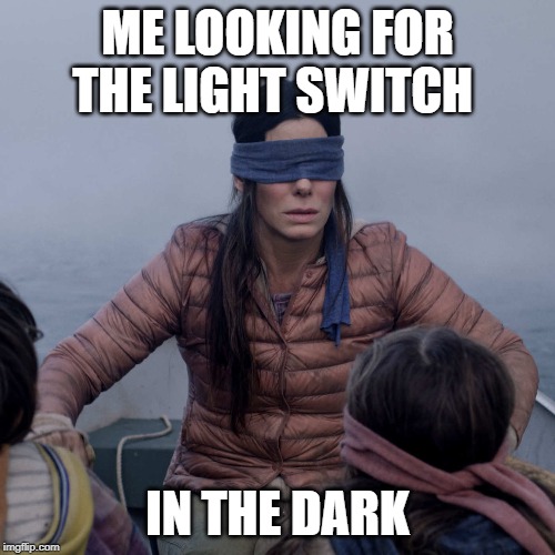 Bird Box Meme | ME LOOKING FOR THE LIGHT SWITCH; IN THE DARK | image tagged in memes,bird box | made w/ Imgflip meme maker