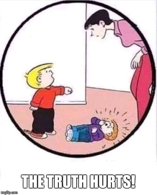 Smacked | THE TRUTH HURTS! | image tagged in smacked | made w/ Imgflip meme maker