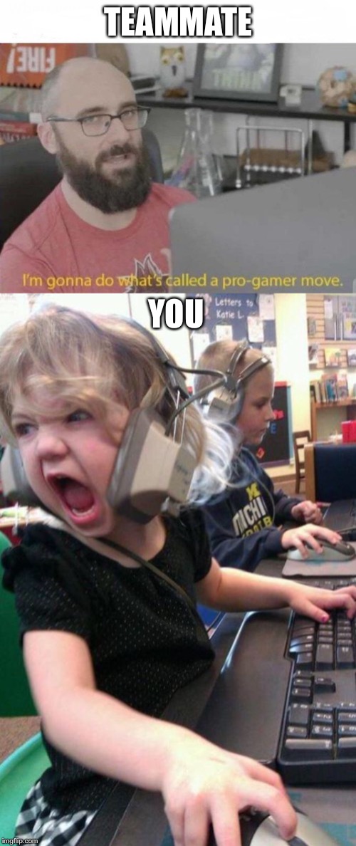 TEAMMATE YOU | image tagged in pro gamer move | made w/ Imgflip meme maker