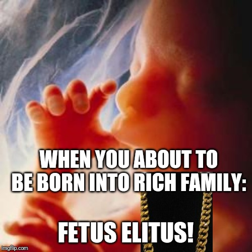 Fetus | WHEN YOU ABOUT TO BE BORN INTO RICH FAMILY:; FETUS ELITUS! | image tagged in fetus | made w/ Imgflip meme maker