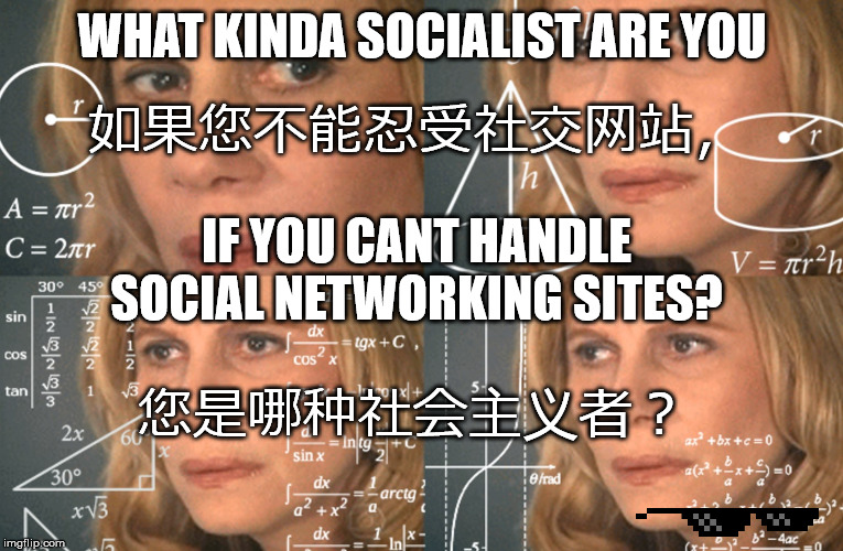如果您不能忍受社交网站，; 您是哪种社会主义者？ | image tagged in truth | made w/ Imgflip meme maker