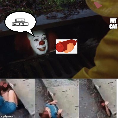 pennywise in sewer | MY CAT; I HAVE A LITTLE SALAMI | image tagged in pennywise in sewer | made w/ Imgflip meme maker