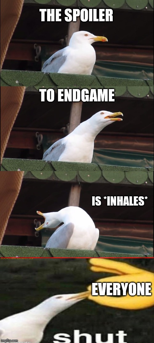 Inhaling Seagull | THE SPOILER; TO ENDGAME; IS *INHALES*; EVERYONE | image tagged in memes,inhaling seagull | made w/ Imgflip meme maker