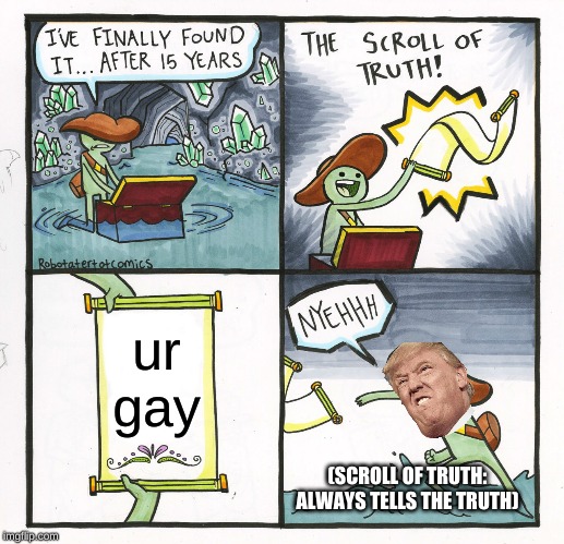The Scroll Of Truth Meme | ur gay; (SCROLL OF TRUTH: ALWAYS TELLS THE TRUTH) | image tagged in memes,the scroll of truth | made w/ Imgflip meme maker