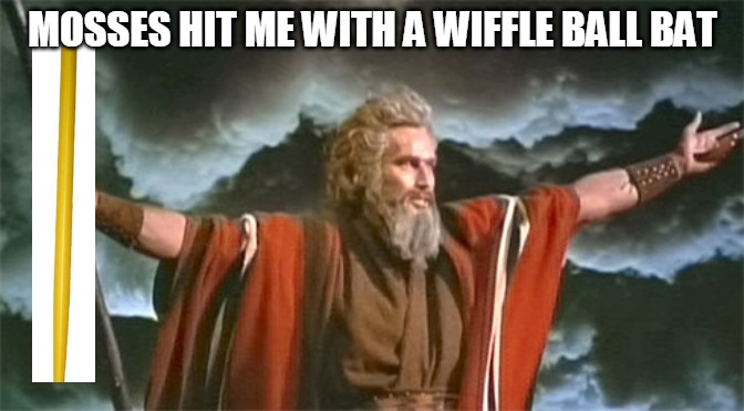 Prophet | MOSSES HIT ME WITH A WIFFLE BALL BAT | image tagged in prophet | made w/ Imgflip meme maker