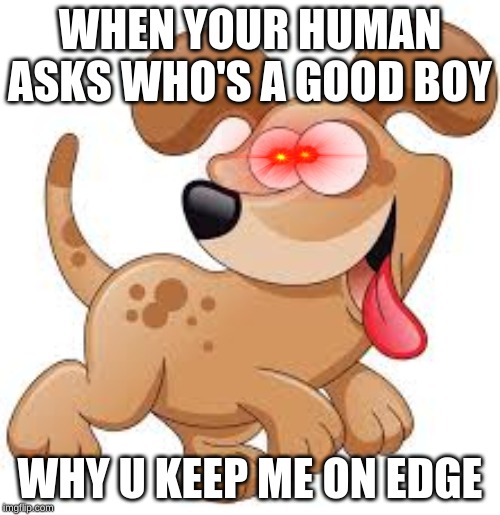 pups be like | WHEN YOUR HUMAN ASKS WHO'S A GOOD BOY; WHY U KEEP ME ON EDGE | image tagged in fun,dogs | made w/ Imgflip meme maker