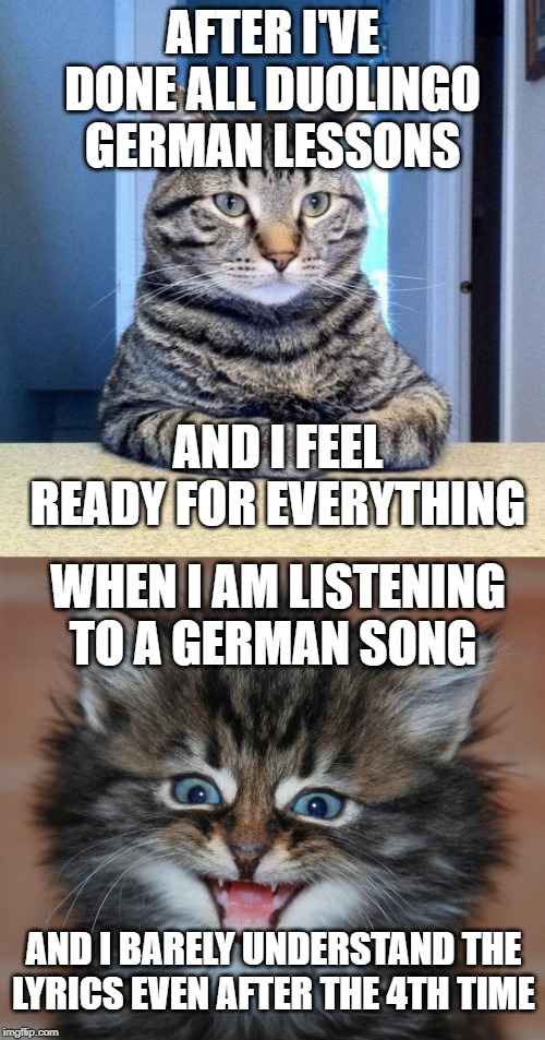 AFTER I'VE DONE ALL DUOLINGO GERMAN LESSONS; AND I FEEL READY FOR EVERYTHING; WHEN I AM LISTENING TO A GERMAN SONG; AND I BARELY UNDERSTAND THE LYRICS EVEN AFTER THE 4TH TIME | image tagged in serious cat | made w/ Imgflip meme maker