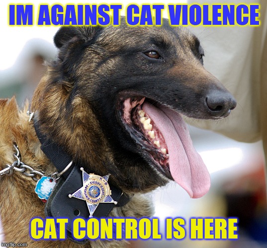 IM AGAINST CAT VIOLENCE CAT CONTROL IS HERE | made w/ Imgflip meme maker