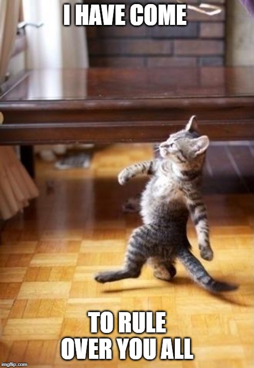 Cool Cat Stroll | I HAVE COME; TO RULE OVER YOU ALL | image tagged in memes,cool cat stroll | made w/ Imgflip meme maker