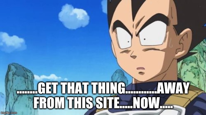 Surprized Vegeta Meme | ........GET THAT THING............AWAY FROM THIS SITE.....NOW..... | image tagged in memes,surprized vegeta | made w/ Imgflip meme maker