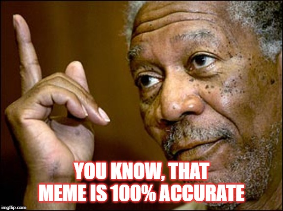 Morgan Freeman pointing | YOU KNOW, THAT MEME IS 100% ACCURATE | image tagged in morgan freeman pointing | made w/ Imgflip meme maker