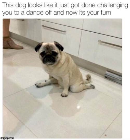 DANCE OFF CHALLENGE! for fam! | made w/ Imgflip meme maker