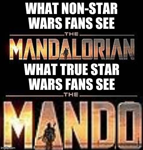 The Mandalorian vs. The Mando | WHAT NON-STAR WARS FANS SEE; WHAT TRUE STAR WARS FANS SEE | image tagged in star wars meme | made w/ Imgflip meme maker