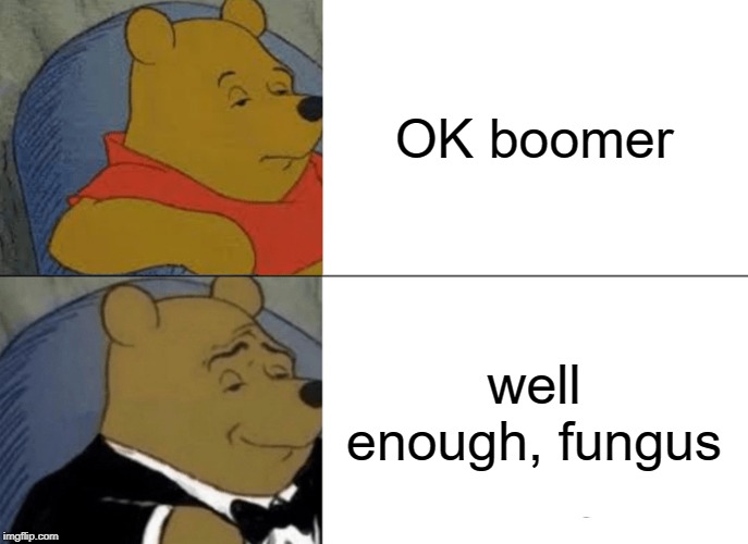 Tuxedo Winnie The Pooh | OK boomer; well enough, fungus | image tagged in memes,tuxedo winnie the pooh | made w/ Imgflip meme maker