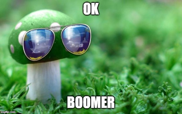 Deal With it Mushroom | OK; BOOMER | image tagged in deal with it mushroom | made w/ Imgflip meme maker