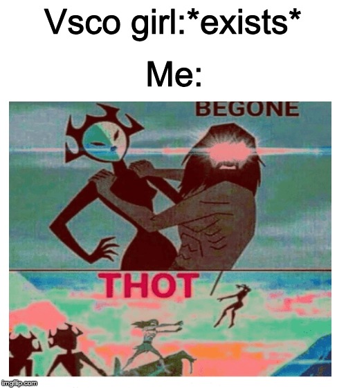 Vsco Girls are not cool | Vsco girl:*exists*; Me: | image tagged in blank white template,begone thot | made w/ Imgflip meme maker