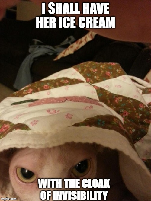 Sneaky Tofu | I SHALL HAVE HER ICE CREAM; WITH THE CLOAK OF INVISIBILITY | image tagged in sneaky tofu | made w/ Imgflip meme maker