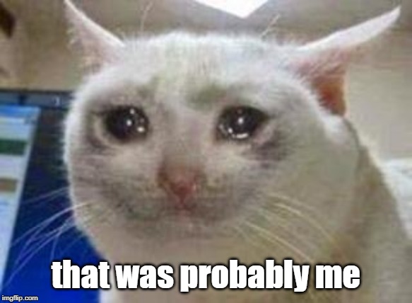 Sad cat | that was probably me | image tagged in sad cat | made w/ Imgflip meme maker
