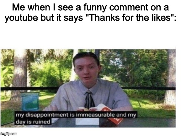 Life can be disappointing | Me when I see a funny comment on a youtube but it says "Thanks for the likes": | image tagged in blank white template,my dissapointment is immeasurable and my day is ruined | made w/ Imgflip meme maker