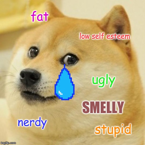 Doge | fat; low self esteem; ugly; SMELLY; nerdy; stupid | image tagged in memes,doge | made w/ Imgflip meme maker