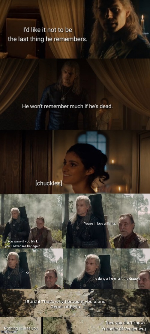the witcher Memes & GIFs - Imgflip