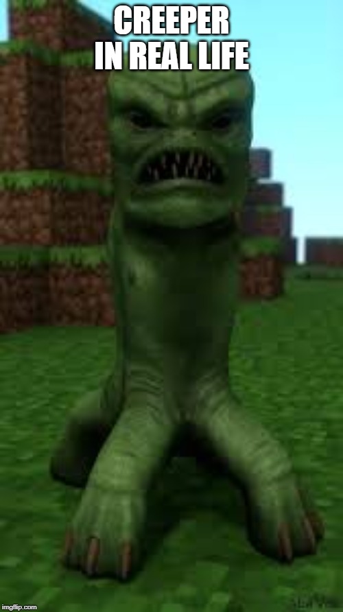 CREEPER IN REAL LIFE | image tagged in creeper,minecraft,minecraft creeper,memes,real life,funny | made w/ Imgflip meme maker